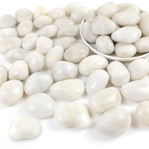 5LB Polished White River Rocks for Plants,1-2.2 Inch Polished Pebbles for Garden Decoration Stones for Landscaping Aquarium Fish Tank Succulents - size: 5LB, style: White