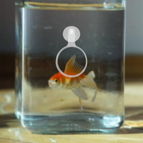 Mipcase Aquarium Magnifier, Acrylic Fish Tank Magnifying Glass, Fish Tank Viewer, Small Animal Magnifier with Suction Fish Tank Magnifying Glass Fish Tank Accessories