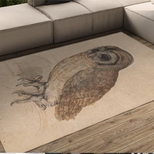 Funny Animal Rugs for Living Room Albrecht Dürer Rug for Bedroom Modern Brown Carpets for Kids Boys Girls Dorm Nursery Home Decor 5'2" x 7'2" - size: 5'2" x 7'2"