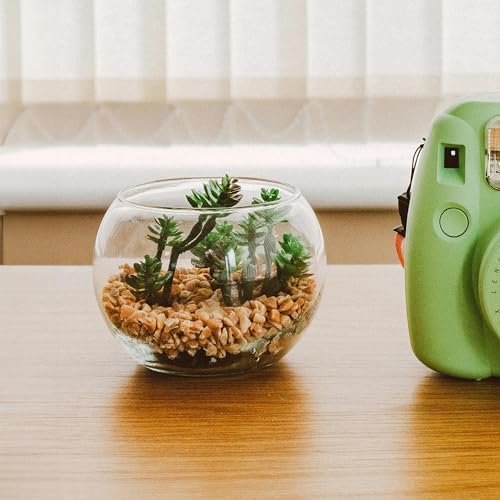 5 lbs Aquarium Gravel, 2-4mm Fish Tank Gravel, Succulent Cactus Pea Gravel for Indoor Plants, River Rocks for Gardening, Flower Pots, Vase Fillers, Garden Landscaping - size: 2-4mm