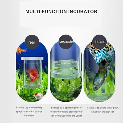 Fish Breeder Box for Raising Fry in Aquariums with Suction Cup Mounting/Floating Breeding Box 3Pcs Floating Hatchery Incubator