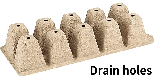 200 Cells Seed Starter Tray, 20 Pack Biodegradable Seed Starter Kit, Peat Pots for Seedlings with 200 Plant Labels, 2 Seed Planting Tool and 1 Spray Bottle