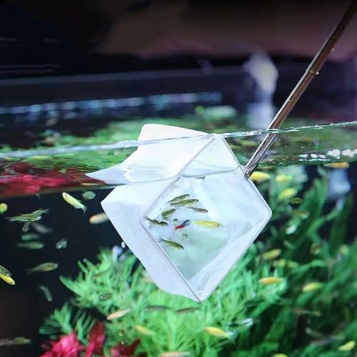 Aquarium Net with Extendable Long Handle, Adjustable Wastes Skimming Cleaning Tools Nylon Fishing Mesh Nets with Long Plastic Handle - color: round, style: L