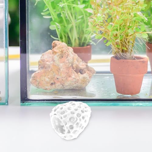 WOONEKY Shrimp Hideout Aquarium Cave with Multiple Holes Hollow Coral Rock Breeding Shelter Fish Tank Decoration for Freshwater Shrimp and Betta Fish