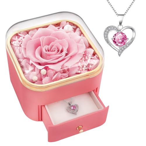 Beferr Gifts for Mom Preserved Real Pink Rose with Necklace Eternal Roses Forever Flowers for Delivery Anniversary Birthday Mothers Day Flower Gifts for Women Her Grandma Wife Daughter Girlfriend - color: B Pink