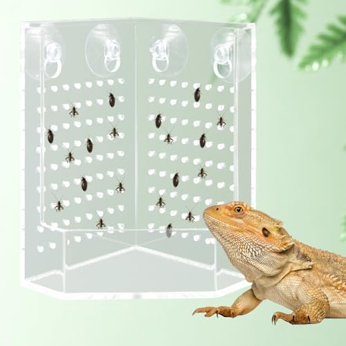 Bearded Dragon Tank Accessories, Transparent Acrylic Corner Hunting Bowl with Suction Cups, Bearded Dragon Food Bowl, Chameleon Feeder, Food Dispenser for Bearded Dragon, Chameleon, Frog