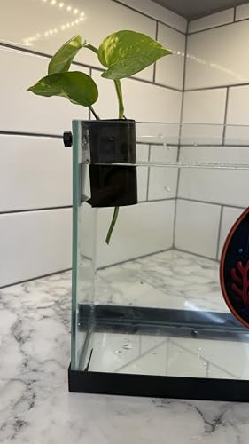 Aquarium Plant Holder for Standard Rimless Fish Tanks The Tube 3D Printed - Pothos Holder - Stemmed Plant Holder -Aquascaping & Aquarium Tool Holder
