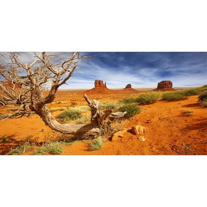 AWERT 72x16 in Terrarium Backdrop Orange Desert Reptile Habitat Background | AWERT Canyon Deadwood Rocky Desert Polyester Terrarium Background - size: 72x16in/180x40cm
