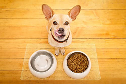 Clear Pet Bowl Mat, USA Made, Safe, Waterproof, 11 x 16.5 Inch, 2mm Thick Pebbled Vinyl, Dog Bowl Mat, Pet Floor Liner - color: Riverstone, size: 11 x 16.5 Inches