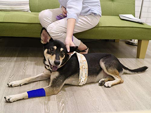 FRESINIDER 9 Rolls Self Adhesive Wrap Athletic Tape Gauze, Breathable Elastic Cohesive Bandage for Sports Injury & Pet (7 Pcs 2" x 5 Yards + 2 Pcs 1" X 5 Yards) (Dark Blue) - color: Dark Blue