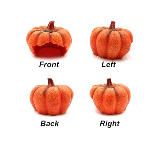 Shelltech Reptile Hideout Resin Aquarium Decoration Pumpkin House for Small Fish,Shrimps,Frogs,Gecko, Spider (Mini Pumpkin)