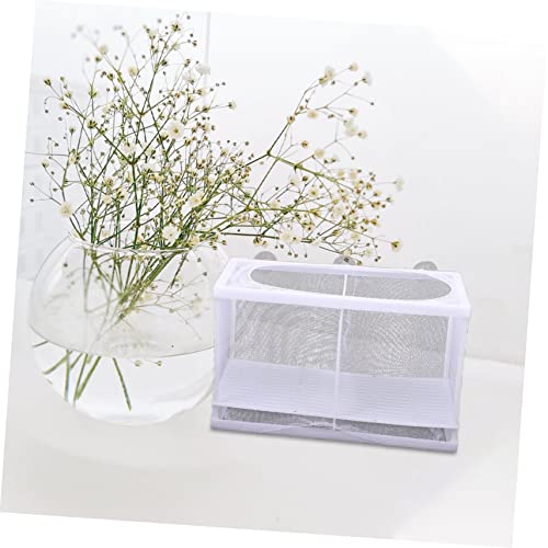 Fish Tank Isolation Box Multifunctional Hatchery for Betta and Guppy Cups Easy to Clean for Fish Acclimation and Isolation