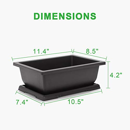 GROWNEER Bonsai Pots 3 Packs 11 Inch Bonsai Tree Training Pot with Humidity Drainage Trays & Repotting Mat Rectangle Planter Plants Starter Kit Growing for Garden Yard Office Indoor Outdoor - size: 3pcs/11.4x8.5in