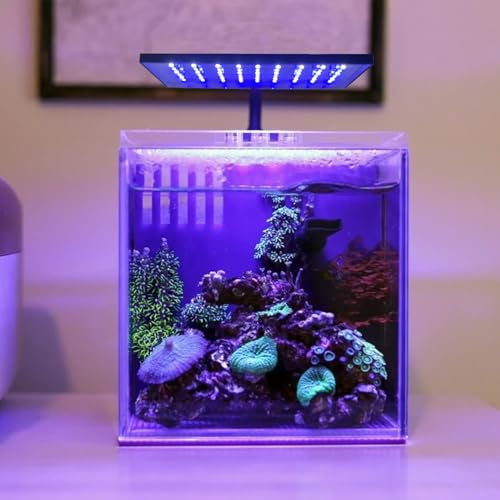Clip-on Aquarium Light 10w (3 Timers, 3 Modes, 10 Dimming, Split Power) for Coral, Reef, Saltwater Fish, Algae Scrubber Nano/Mini/Pico/Refugium Tank,1-16Gallon(5-16in) Aquarium - size: M-10w