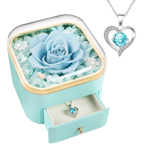 Beferr Gifts for Mom Preserved Real Rose with Necklace Eternal Roses Forever Flowers for Delivery Anniversary Birthday Mothers Day Flower Gifts for Women Her Grandma Wife Daughter Girlfriend - color: Light Blue