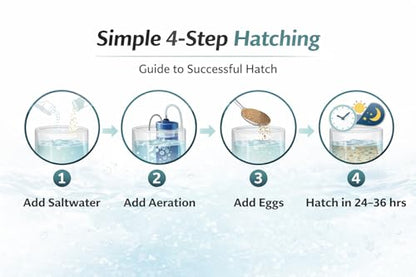 Premium Brine Shrimp Eggs – High Hatch Rate Artemia Cysts for Fish Fry, Reef & Aquarium Fish – Clean, Reliable Live Fish Food (0.7oz)