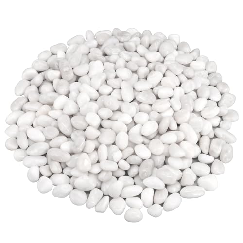 Aquarium Gravel,Landscaping Pebbles, Decorative Ornamental Pebbles Garden | Landscaping Stones Gravel Filler for Home Decoration Flower Bed Fish Tank Plants Vases Succulents (10 Pounds, White) - color: White, size: 10 Pounds