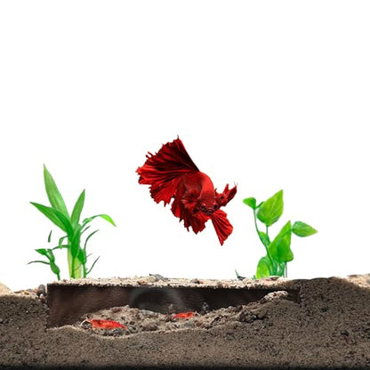 Shrimp Breeding Protector, Shrimp Hide Tunnel, Brown | Aquarium tunnel creates a sheltered breeding cave for dwarf, cherry and baby shrimp while helping protect young shrimp. - color: Brown