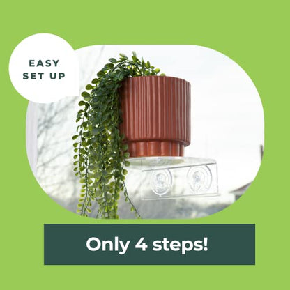 Window Garden Veg Ledge Suction Cup Window Shelf – Create an Indoor Garden, Hold Your Planter Pots, Seed Starter, Figurines on Your Window. Grow Herbs, Microgreens, Succulents, Sleek (2 Pack) - size: 2 Medium (Original)