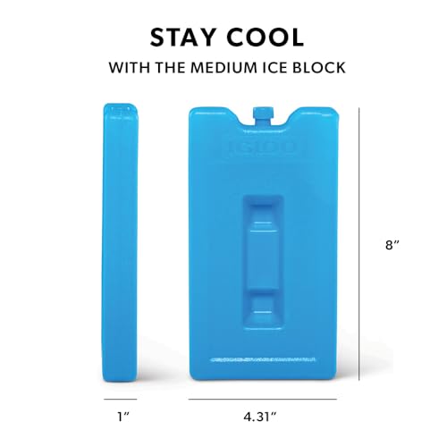 Igloo Maxcold Ice Block - color: Medium