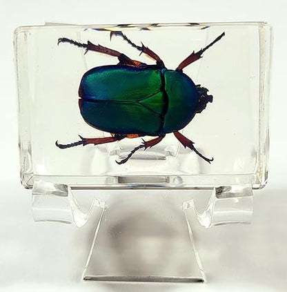 HQRP-Crystal 1 3/4" Acrylic Display Stand Pedestal for Crystal Heart / Slice / Slab and other Stones - size: 1 3/4"