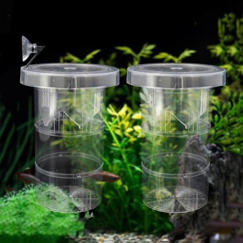 Guppy Breeding Box Aquarium Incubator Floating Fish Hatchery Suspension Isolation Tank(S)