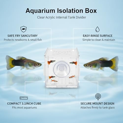 Aquarium Isolation Box, Clear Acrylic Internal Tank Divider for Fry and Small Fish, 3.1 x 3.1 x 3.1 Inch (1 PC)