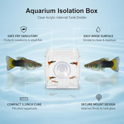 Aquarium Isolation Box, Clear Acrylic Internal Tank Divider for Fry and Small Fish, 3.1 x 3.1 x 3.1 Inch (1 PC)