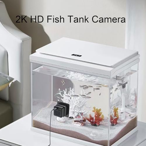 Fish Tank Camera 2K HD 140 Degree Wide Angle Aquarium Camera with Anti Lens AI Motion Detection Two Way Talk for Aquariums Reptile Terrariums Breeding Tanks