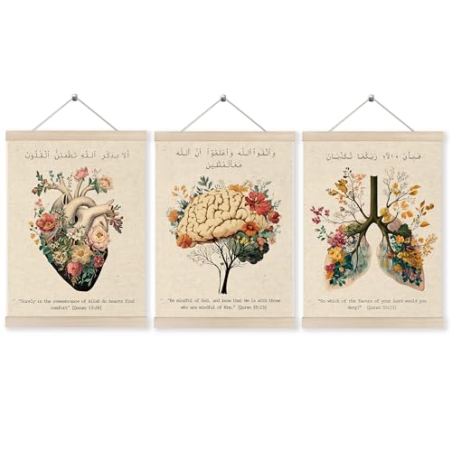 HUGANE Islamic Quran Verse Anatomy Wall Art Poster Hanger Frame, Floral Heart Brain Lungs Anatomical Canvas Prints Framed Hanging Wall Decor for Medical Office School Home, 12x16 Inch Set of 3