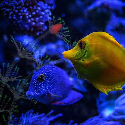 SUPVOX Luminous Green Aquarium Fake Plant Fish Tank Decor Vivid Silicone Underwater Grass for Freshwater and Saltwater Aquariums