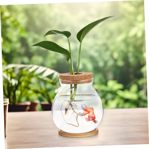 Desktop Hydroponic Glass Fish Bowl with Cushion Small Betta Fish Tank for Plant Terrarium Decor with Mat for Home and Office