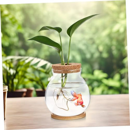 Desktop Hydroponic Glass Fish Bowl with Cushion Small Betta Fish Tank for Plant Terrarium Decor with Mat for Home and Office