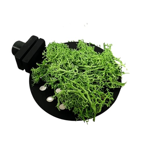 REEFSHAPE Aquarium Moss Ledge | Attachable Moss or Plant Ledge for Fish Tanks | Platform for Aquatic Plants | Made in USA (3", Black) - color: 3", Black