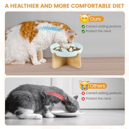 PETTOM Slow Feeder Cat Bowl with Stand, Ceramic Slow Eating Cat Bowl with Higher Edges Fish Pool Design Elevated Food Bowls for Dry and Wet Food Anti-Vomiting Puzzle Feeder for Healthy Eating Diet - color: Green