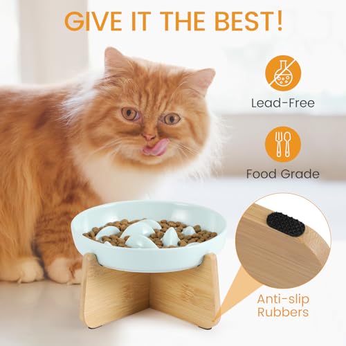PETTOM Slow Feeder Cat Bowl with Stand, Ceramic Slow Eating Cat Bowl with Higher Edges Fish Pool Design Elevated Food Bowls for Dry and Wet Food Anti-Vomiting Puzzle Feeder for Healthy Eating Diet - color: Green