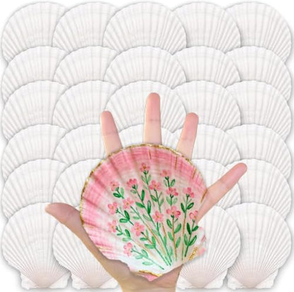 30PCS Large Natural Scallop Shells for Crafts, 4-5 in White Sea Shells, DIY | Smooth, cleaned surfaces suit painting, resin art, candle making, baking displays, weddings, classrooms and ocean parties. - size: 30PCS (4-5in)