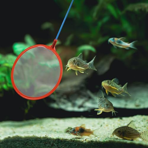 10pcs Small Aquarium Fish Net Fine Mesh Fishing Landing Net for Shrimp and Small Fish Tank Use Portable Mesh for Aquarium Cleaning and Catching Random Color
