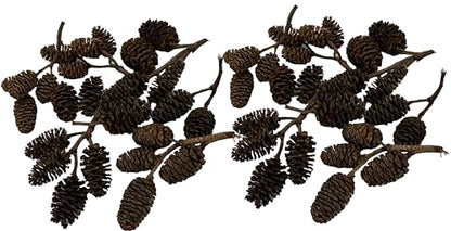 Awesome Aquatic 50 Alder Cones, Blackwater, Betta Shrimp Habitat | Natural tannins Botanicals Softwater Leaf litter Biofilm surface Water enrichment Natural décor Easy to use - size: 50 Pack Alder