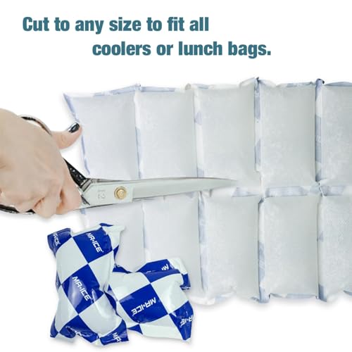 Reusable Ice Pack Sheets, 24 Cell/12 Cell/250g Single Ice Packs for Cooler and Shipping, Long Lasting Dry Ice Packs for Shipping Frozen Food Freezer Packs for Mailing - style: 12cells 6 Pcs