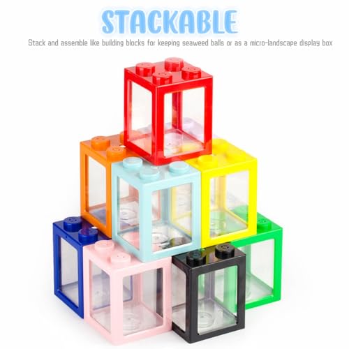 Mini Sea Monkey Tank, Small Shrimp Tank Stackable Mini Aquariums for Fairy Shrimp Eggs Moss Balls, 0.25 Gallon Temporary Betta Fish Tank Ant Feeding Case Mini Reptile Tank - color: Black