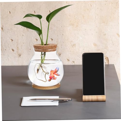 Toyvian Desktop Glass Fish Bowl with Lid Small Hydroponic Betta Tank Includes Mat for Easy Placement for Home Office Dining Table Decoration
