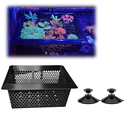 Floating Coral Basket for Reef Tanks (4x6 inch), Anemone and Frag Isolator Cup Mount, Saltwater Aquarium Safe