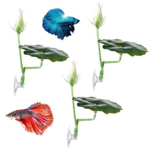 QfwdfcTrenz 3 Pcs Betta Fish Bed Betta Leaf Hammock Suction Cup Tank Decor Fish Toys Leaf Pad Leaves Tank Accessories Simulates Natural Habitat Comfortable Rest Area