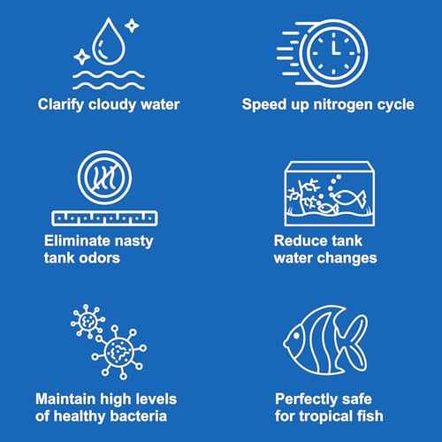 EcoBio-Block Aquarium Water Clarifier (Medium, 15–40 gal) | Volcanic Rock — Lasts Up to 2 Years — No Weekly Additives — Long-Term Water Balance — Safe for Fish, Shrimp, Frogs & Turtles - size: 1 Pack, style: Medium
