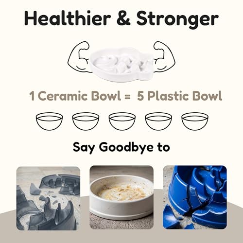 2 Pcs Ceramic Cat Slow Feeder Bowl - Shallow Whisker Friendly Cat Plate for Dry and Wet Food - Puzzle Feeder for Slow Eating - Helps Reduce Vomiting - Microwave & Dishwasher Safe -Non Slip(Pink+White) - color: Pink + White