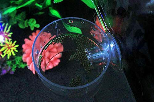 DGZZI Acrylic Aquarium Fish Tank Adjustable Circle Ring Feeder - Floating Food Dish Protection Cover Tray