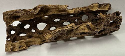 Natural Cholla Wood Chunk Large Air Plant Display Holders Individually Unique Decorative Stands or Holder (Cholla Chunk Large) - style: Cholla Chunk Large