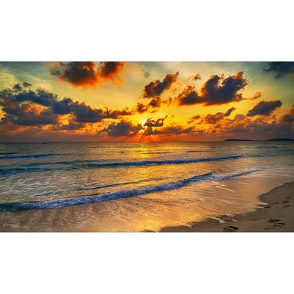 Sunset Tropical Beach Aquarium Background Sunrise Ocean Seashore Fish Tank Background Ocean Seascape Terrarium Backgrounds Sunset Over the Seacoast Sea Waves Sand Reptile Tank Backgrounds 24x16in - color: Dark Brown, size: 24(W)x16(H)inches/ 60(W)*40cm(H)