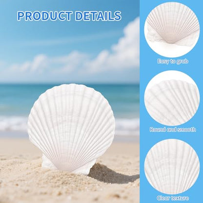 10PCS Natural Scallop Shells for Crafts, 4-5 in White Sea Shells, DIY Decor | Smooth, cleaned surfaces suit painting, resin art, candle making, baking displays, weddings, classrooms and ocean parties. - size: 10PCS (4-5in)